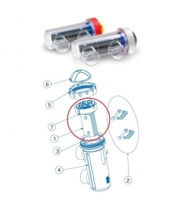 Electrodo célula DT7 IDEGIS. R-458