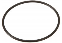 Junta tórica célula Hayward. GLXDIYORING