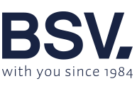 logo%20bsv_1.png