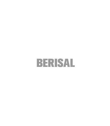 Berisal